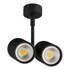Накладной светильник Lightstar Rullo 214447